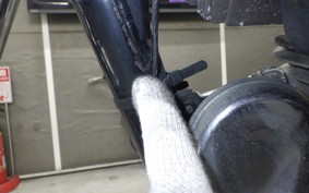 KAWASAKI ESTRELLA RS BJ250A