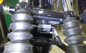 HARLEY XL1200NS 2019