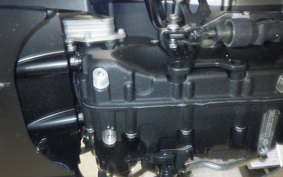 HARLEY RH975S 2024