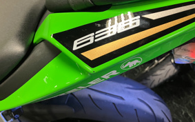 KAWASAKI NINJA ZX-6R KRT ED 2020 ZX636G