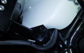 HARLEY FLTRXSE1920CVO 2021