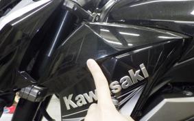 KAWASAKI Z800 2013