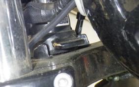 OTHER +ENFIELD INT650 2024