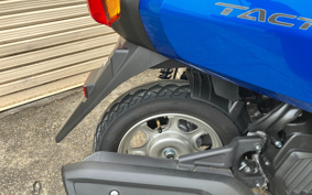 HONDA  TACT  BASIC  AF79