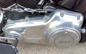 HARLEY FLS 2017 JRV