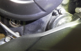 KAWASAKI NINJA 250 SL