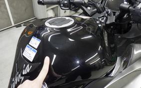 KAWASAKI NINJA 1000SX 2024 ZXT02K