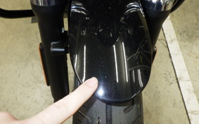 HARLEY RH975S 2024