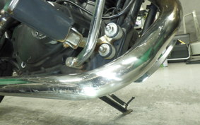 YAMAHA VIRAGO 250 2025 3DM