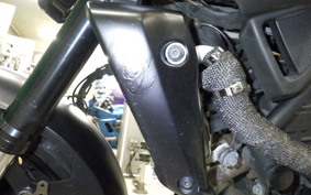YAMAHA MT-25 A 2014 RG43J