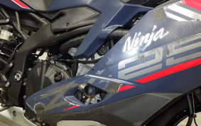 KAWASAKI ZX-25R 2024 ZX250E