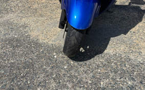 SUZUKI SKYWAVE 250M CJ45A