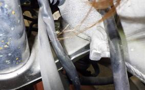 YAMAHA TZR250 1991 3MA