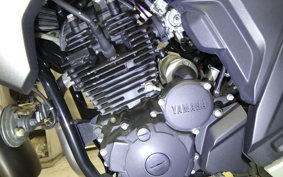 YAMAHA FZ25