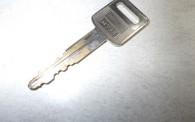 SUZUKI ST250E 1994 NJ4CA
