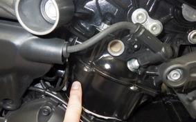 DUCATI DIAVEL X 2017