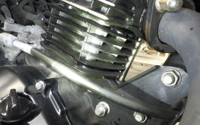 HONDA HORNET 2.0
