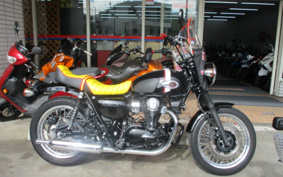 KAWASAKI W800 STREET 2021 EJ800E