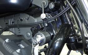 HARLEY XL883N 2015