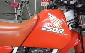 HONDA XR250R