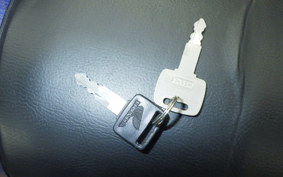 HONDA XLR250R GEN 2 2025 MD20