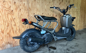 HONDA ZOOMER SPECIAL EDITION AF58