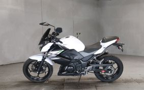 KAWASAKI Z250 ER250C