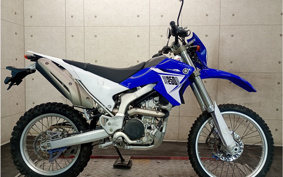 YAMAHA WR250R DG15J