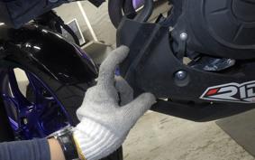 YAMAHA MT-25 2024 RG43J