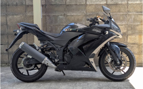 KAWASAKI NINJA 250R EX250K
