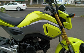 HONDA GROM JC61
