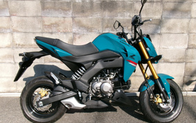 KAWASAKI Z125 PRO BR125H