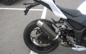 KAWASAKI Z250 ER250C