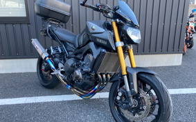 YAMAHA MT-09 2015 RN34J