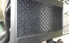 HONDA REBEL 250 A MC49