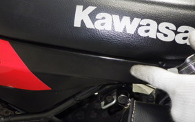 KAWASAKI SUPER SHERPA KL250G