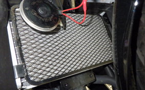 SUZUKI GSX250RA 2017