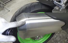 KAWASAKI ZX-4RR 2024 ZX400P