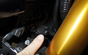 YAMAHA MT-09 SP 2021 RN69J