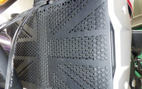 TRIUMPH TRIDENT 660 2021