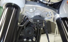 HARLEY FLSB 1750 2025