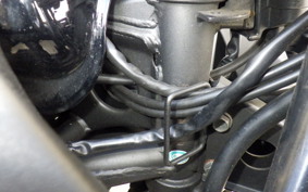 KAWASAKI NINJA 250R