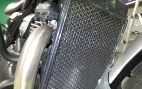 TRIUMPH SCRAMBLER400X 2025