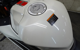 YAMAHA YZF-R25 RG74J