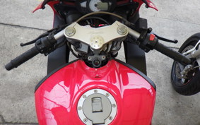 OTHER +ﾒｶﾞﾘ250R