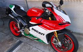 DUCATI  DUCATI 1299PANIGA-RER FE 2019 HC00