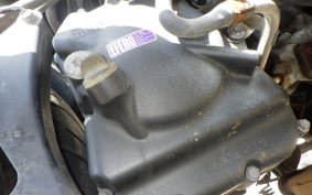 YAMAHA MAJESTY 250 C SG03J