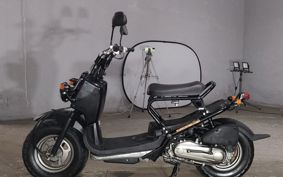 HONDA ZUMAR AF58