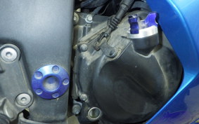 KAWASAKI NINJA 250R 2022 EX250K