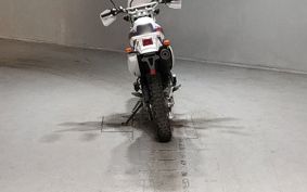 YAMAHA TT250RRAID 4GY